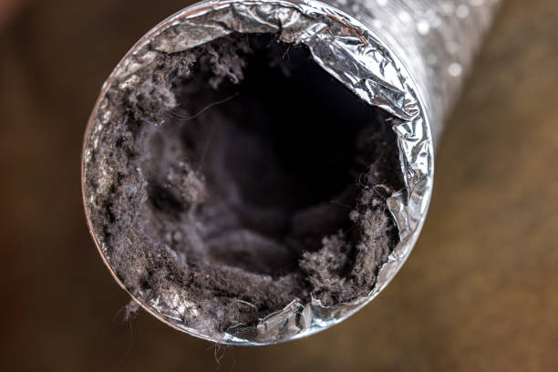 Best Affordable Air Duct Cleaning  in Elleale, ND