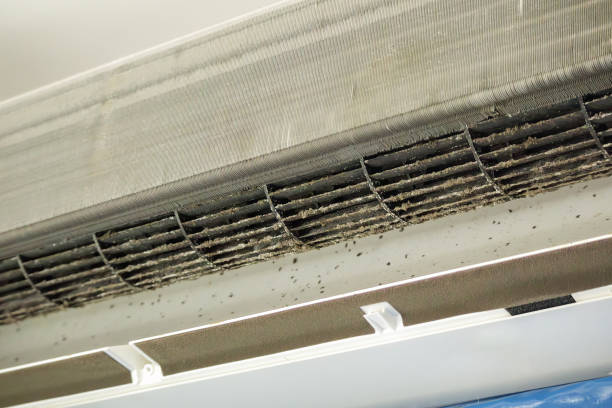 Best Emergency Air Duct Cleaning  in Elleale, ND