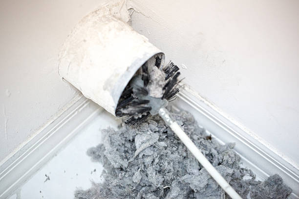 Best Ventilation Cleaning Services  in Elleale, ND