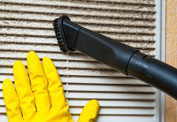 Best Duct Cleaning Specialists  in Elleale, ND