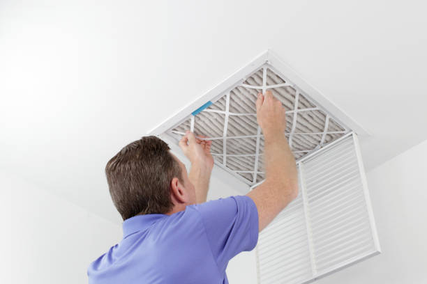 Best Air Duct Inspection  in Elleale, ND